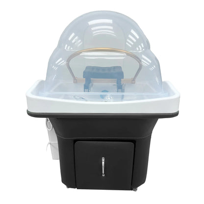 Non-Portable Japanese Korean Head Spa Shampoo Bowl
